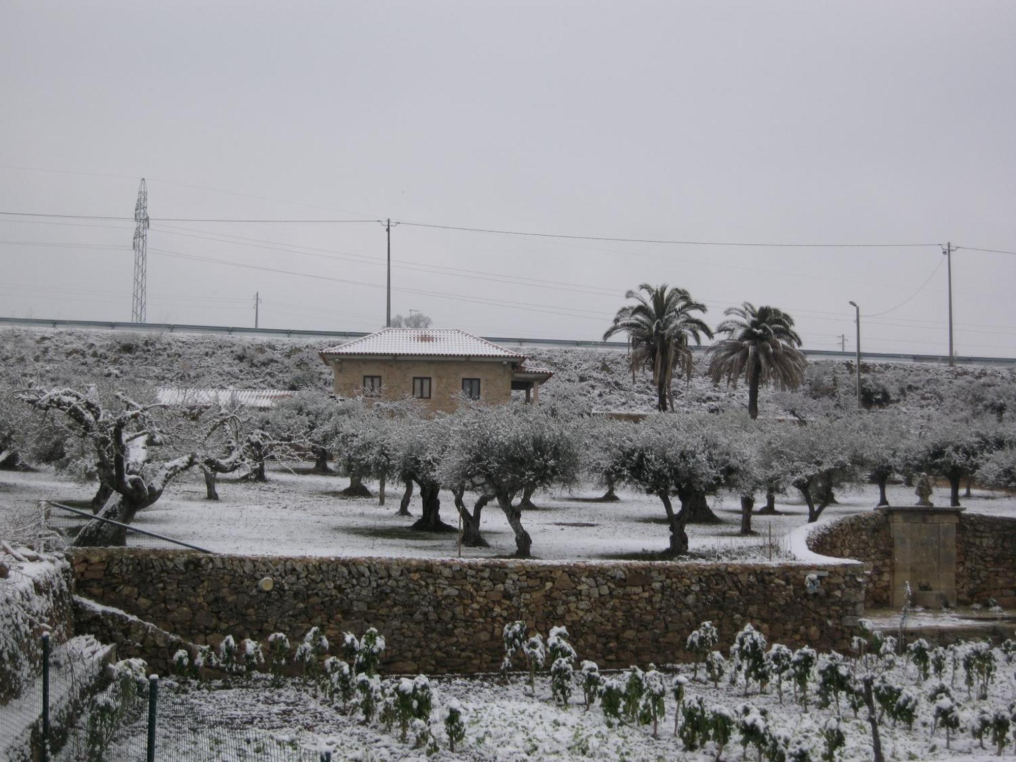 Quinta Das Pias - Holiday Farm พินเญล ภายนอก รูปภาพ