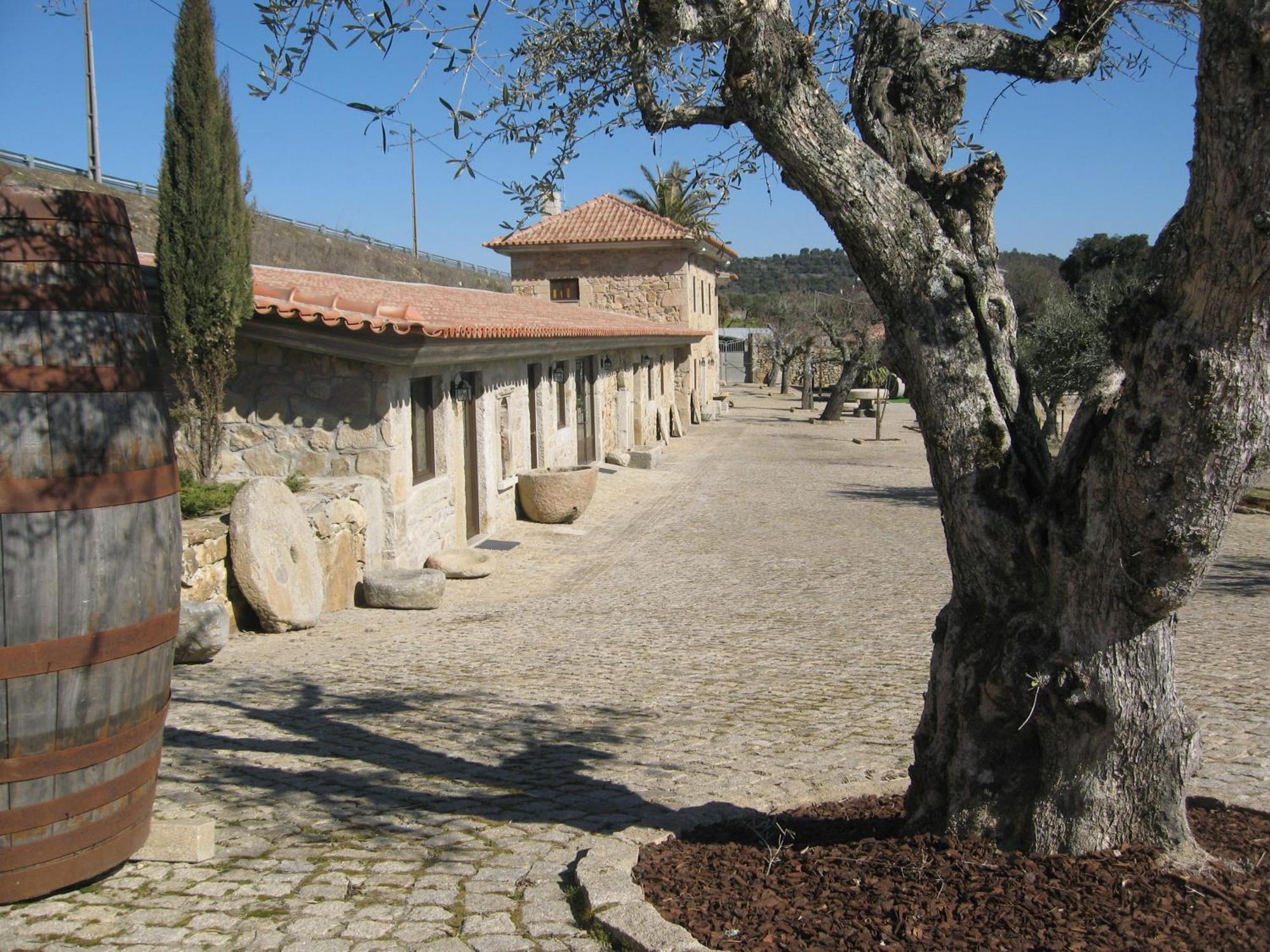 Quinta Das Pias - Holiday Farm พินเญล ภายนอก รูปภาพ