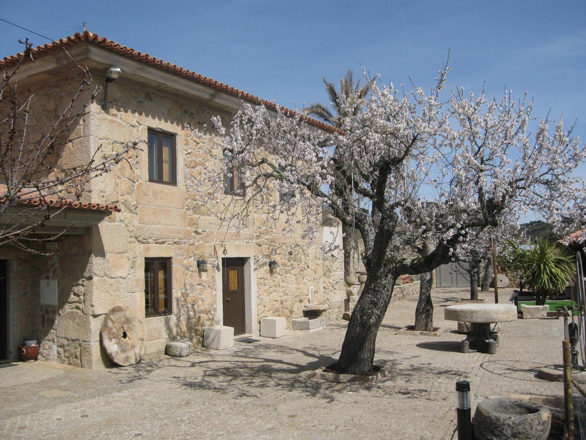 Quinta Das Pias - Holiday Farm พินเญล ภายนอก รูปภาพ
