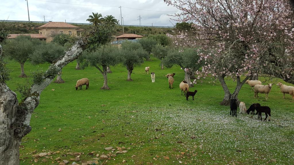 Quinta Das Pias - Holiday Farm พินเญล ภายนอก รูปภาพ